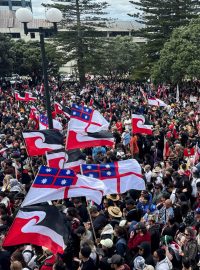 Protestující pochodují k novozélandskému parlamentu