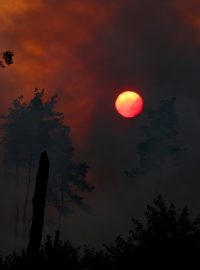 Rozsáhlý lesní požár na severu Saska v chráněné oblasti Gohrischheide