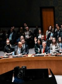 Hlasování o vyslání mezinárodních bezpečnostních sil do Pásma Gazy v Radě bezpečnosti OSN