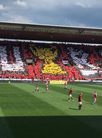 Choreo protilehlé tribuny