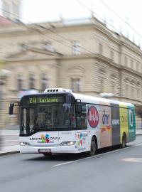 Dopravcům chybějí řidiči autobusů. Jejich nedostatek už pociťují i cestující - někteří dopravci totiž musí kvůli chybějícím lidem i rušit spoje.