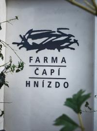 Čapí hnízdo