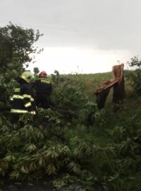 Královéhradečtí hasiči odklízí spadlý strom ze silnice