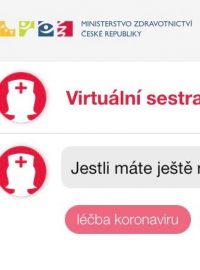 Virtuální sestra Anežka fungovala na webu ministerstva zdravotnictví od loňského března