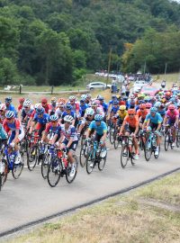 Peloton na závodě Critérium du Dauphiné