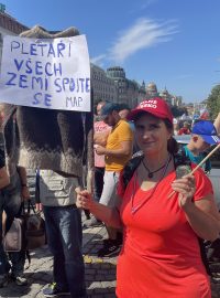 Protivládní demonstrace