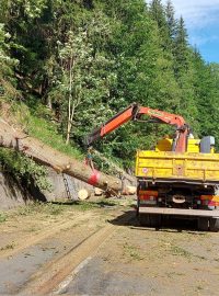 Poryv větru strom zlomil ve výšce asi tří až čtyř metrů nad zemí