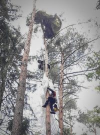 Vojáci podle armádní mluvčí prováděli skupinový seskok jako součást výcviku na akci pro veřejnost