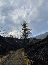 Požár v Českém Švýcarsku se nešíří na nová místa, lokalizovaný ale zatím není