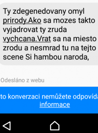 Nenávistné vzkazy často obsahují překlepy nebo pravopisné chyby. (zasláno Magdě Faltové)