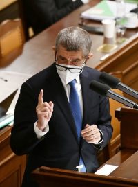 Předseda hnutí ANO Andrej Babiš