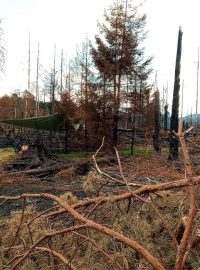 Požár likvidovalo v jednu chvíli i 1000 hasičů, České Švýcarsko už záchranáři postupně opouští