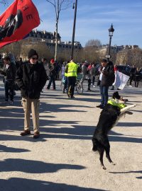 Žluté vesty ve Francii tento víkend mimořádně protestovaly i v neděli.