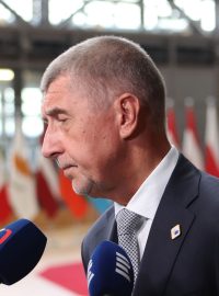 Český premiér Andrej Babiš z hnutí ANO