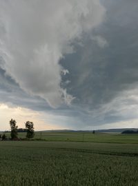 Nad kukuřičným polem se tyčí šedočerná hradba z mraků