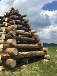 Vatry svrchovanosti se v červenci kolem výročí deklarace zapalují na Slovensku dodnes.