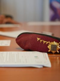 Skoro 60 výsadkářů se rozhodlo přidat se do registru potenciálních dárců kostní dřeně