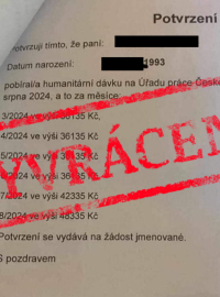 Na sociálních sítích se začal šířit dokument se zveřejněnou údajnou výší humanitární dávky pro ukrajinskou uprchlici v Česku