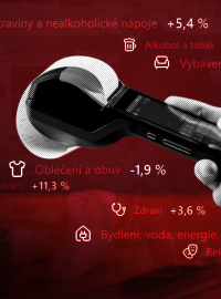 Potraviny, bydlení a služby dále zdražují, i když volnějším tempem