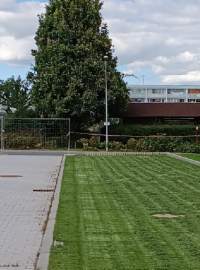 Pražští vědci testují rozdíly mezi travnatými a betonovými parkovišti