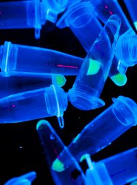 Vizualizace pomocí fluorescence