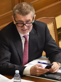 Andrej Babiš před jednáním o důvěře pro jeho novou vládu