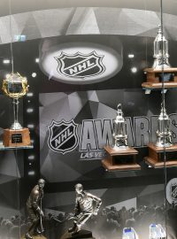 V nové Síni slávy českého hokeje v Praze otevřeli 28. března 2018 výstavu &quot;100 let NHL&quot;.