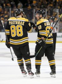 Český útočník Bostonu David Pastrňák