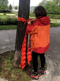 Zdravotní sestry z Charity ČR, které pracují v domácí péči, upozornily na své nízké platy. Při akci obvázaly kmeny stromů v Zítkových sadech červenými mašlemi.