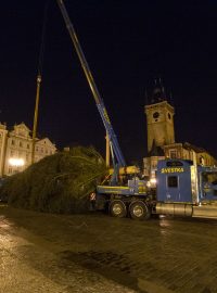 Letos by měl být strom ozdoběný střídmě. Měly by ho zdobit světla v barvě české trikolóry