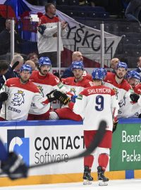 Čeští hokejisté slaví v zápase s Velkou Británií vstřelenou branku