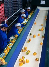 Italský novinář Stefano Liberti strávil mnoho let cestami po světě a sledoval fungování globálního trhu (ilustrační foto)