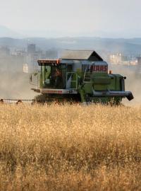 Některé dceřiné firmy Agrofertu čerpaly podle Pirátů na pojištění proti škodám způsobeným počasím či škůdci neoprávněně miliony korun (ilustrační foto)