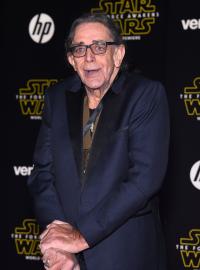 Peter Mayhew na snímku z roku 2015