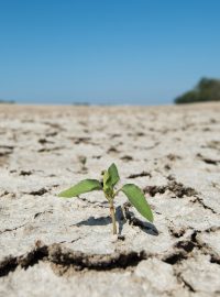 Zpráva Mezivládního panelu pro změny klimatu upozorňuje, že ke zmírnění globálního oteplování nestačí jen snižovat emise oxidu uhličitého produkovaného továrnami či auty, ale je třeba změnit způsob využívání půdy i chování spotřebitelů