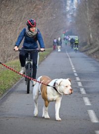 Cyklistky na cyklostezce Rokytka v Praze-Vysočanech