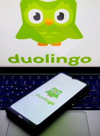 Duolingo (ilustrační foto)