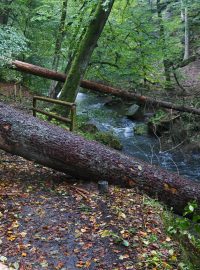 Edmundova soutěska (foto z října 2024)