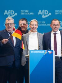 Vedení krajně pravicové Alternativy pro Německo (AfD)