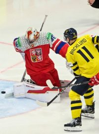 Karel Vejmelka v zápase proti Švédsku