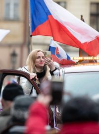 Šlo asi o padesátku vozů sympatizantů a demonstrantů.