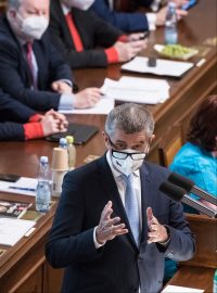 Hlasování o nedůvěře v Poslanecké sněmovně. Andrej Babiš.