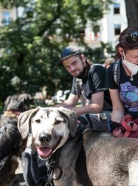 Bezdomovci se registrují na očkování, které organizoval Drop-in před Hlavním nádražím.