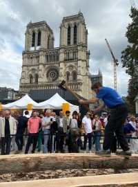 Tesaři při práci před katedrálou Notre-Dame