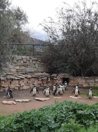 Řecká zoologická zahrada Attica Zoological Park