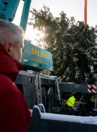 Cesta na Staroměstské náměstí nebyla lehká, už v úterý byl ale připraven na zdobení