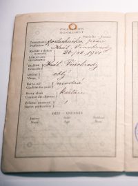 Pas Milady Horákové
